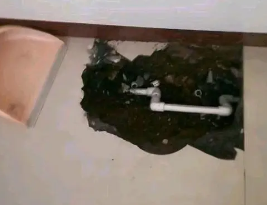 资阳卫生间测漏水多少钱